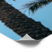 Sommerpalmen Poster (Ecke)