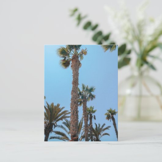 Sommerpalmen Postkarte (Stehend Vorderseite)