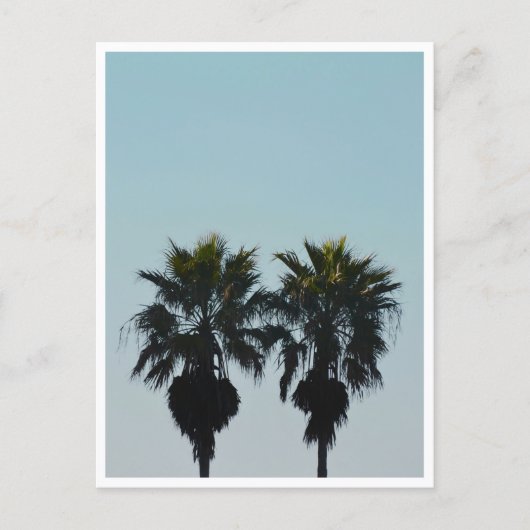 Sommerpalmen Postkarte (Vorderseite)