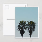 Sommerpalmen Postkarte (Vorne/Hinten)