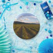 Sommerpapierplatte Pappteller (Party)