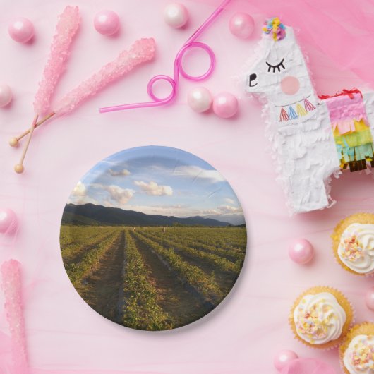 Sommerpapierplatte Pappteller (Party)