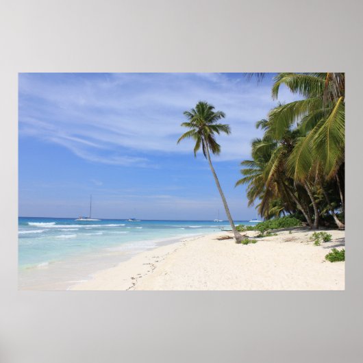 Sommerparadies Poster (Vorne)