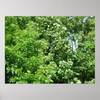 Sommerpause Poster