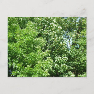 Sommerpause Postkarte