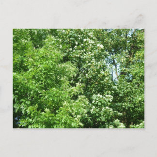Sommerpause Postkarte