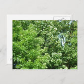 Sommerpause Postkarte (Vorne/Hinten)