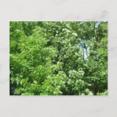 Sommerpause Postkarte (Vorderseite)