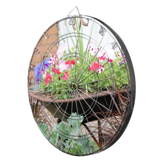 Sommerpflanze Dartscheibe (Vorderseite rechts)