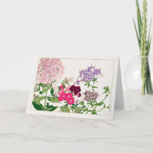 Sommerphlox von Tanigami Konan Karte
