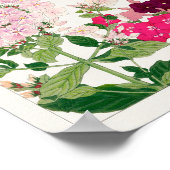 Sommerphlox von Tanigami Konan Poster (Ecke)