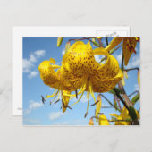 Sommerpostkarten gelbe Tiger-Lilien-Blumen blau Postkarte (Vorne/Hinten)