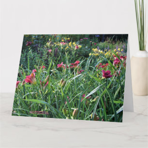 Sommerregenerierung Taglilie Garden Karte