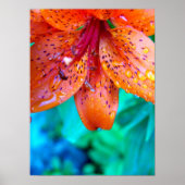 Sommerregenreste Poster (Vorne)