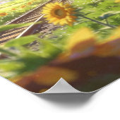 Sommerreise Sonnenblumen und der Sky Express Poster (Ecke)