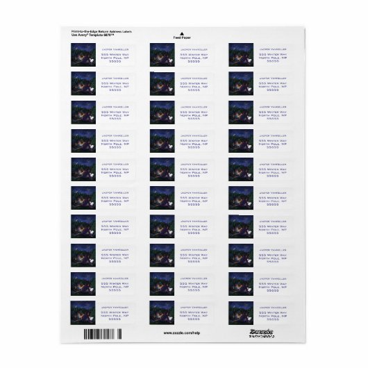 Sommerritter (Vorne)