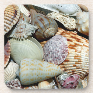 Sommersaison Seashell Untersetzer