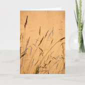 Sommerschatten Karte (Vorderseite)