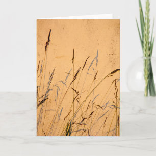 Sommerschatten Karte