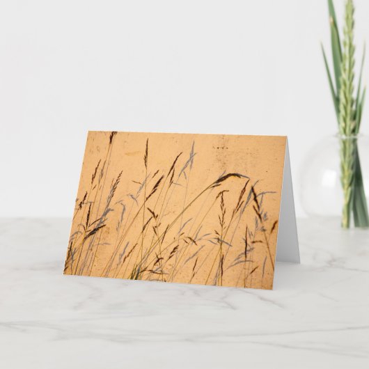 Sommerschatten Karte (Vorderseite)