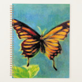 Sommerschmetterling im Frühjahr - Planer (Vorderseite)