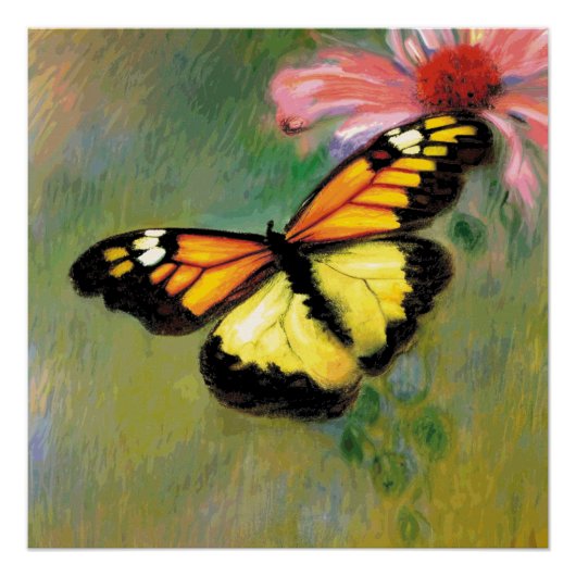 Sommerschmetterling im Frühjahr - Poster (Vorderseite)
