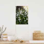 Sommerschneeflocken-weiße Blume Poster (Küche)