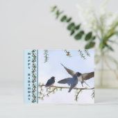 Sommerschwalben Postkarte (Stehend Vorderseite)