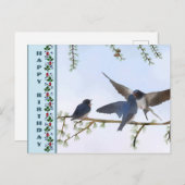 Sommerschwalben Postkarte (Vorne/Hinten)