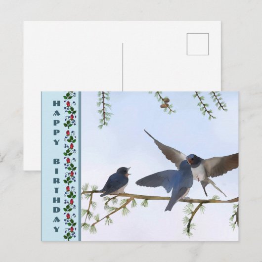 Sommerschwalben Postkarte (Vorne/Hinten)