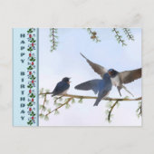 Sommerschwalben Postkarte (Vorderseite)