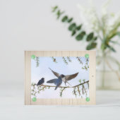 Sommerschwalben Postkarte (Stehend Vorderseite)