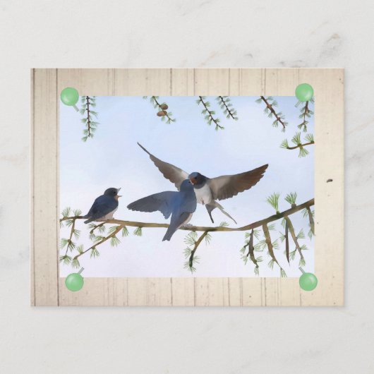 Sommerschwalben Postkarte (Vorderseite)