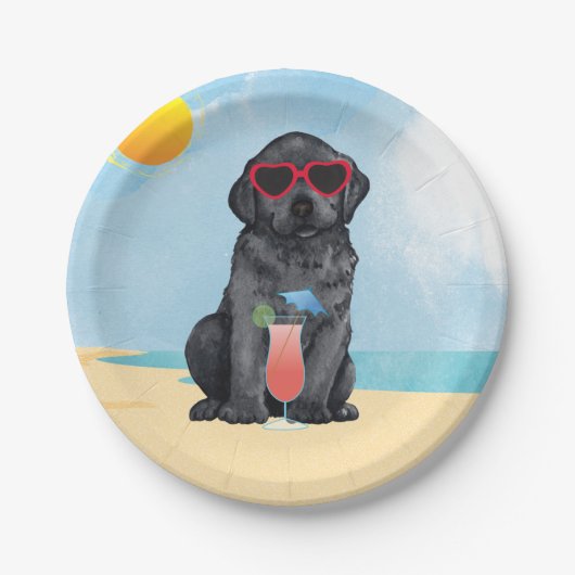 Sommerschwarzer Lab Pappteller (Vorderseite)