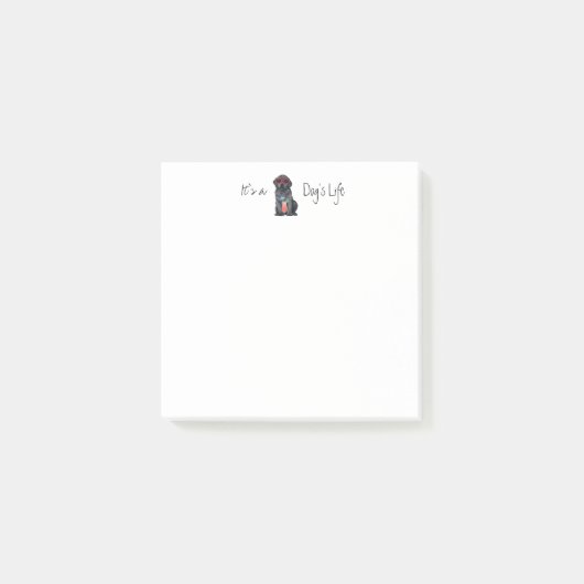 Sommerschwarzer Lab Post-it Klebezettel (Vorderseite)