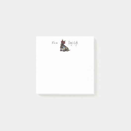 SommerScottish Terrier Post-it Klebezettel (Vorderseite)