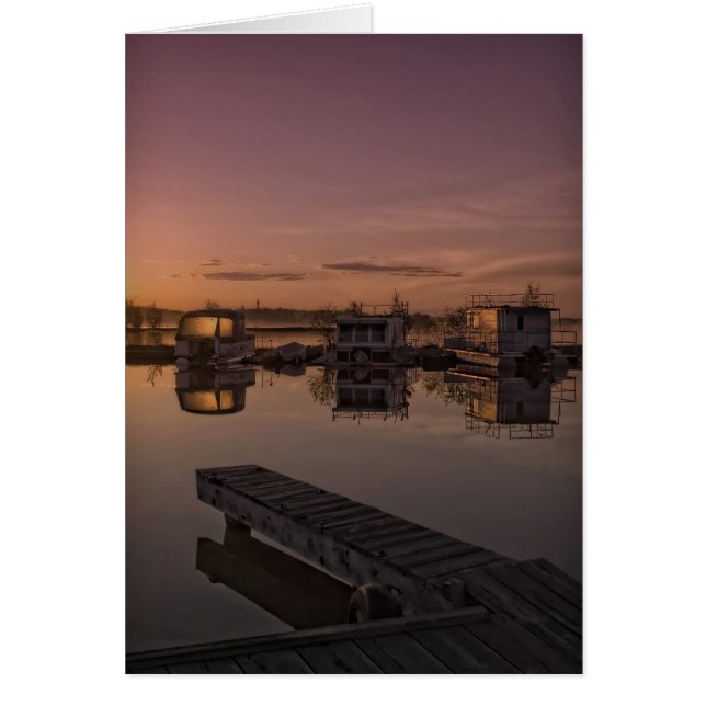 Sommersolistie (Vorne)