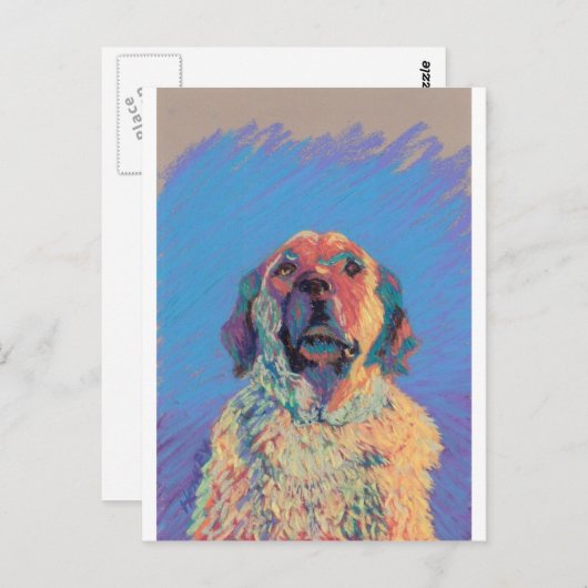 Sommersonne Postkarte (Vorne/Hinten)