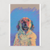 Sommersonne Postkarte (Vorderseite)