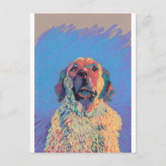 Sommersonne Postkarte (Vorderseite)