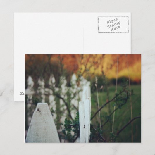 Sommersonne Postkarte (Vorne/Hinten)