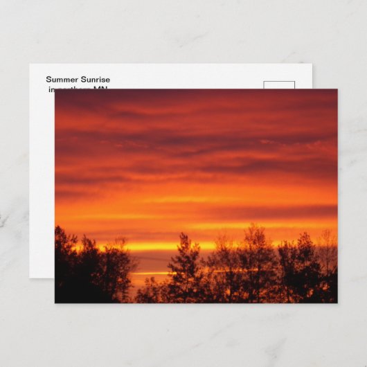 Sommersonnenaufgang im Norden MN Postkarte (Vorne/Hinten)