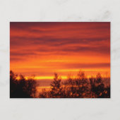 Sommersonnenaufgang im Norden MN Postkarte (Vorderseite)