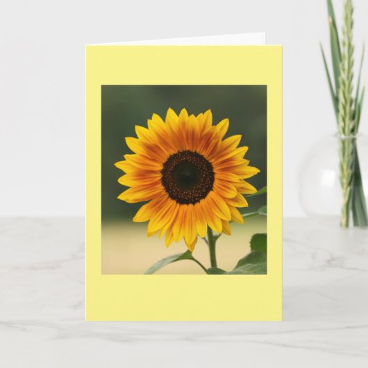 Sommersonnenblume geklappte leere Grußkarte Karte (Vorderseite)
