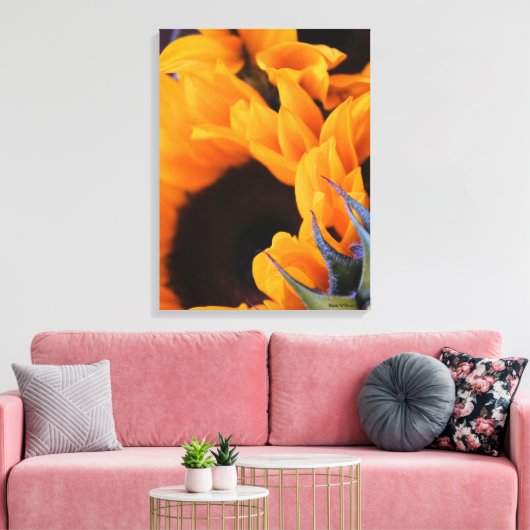 Sommersonnenblume Leinwanddruck (Insitu (Wohnzimmer))