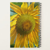 Sommersonnenblume Planer (Rückseite)