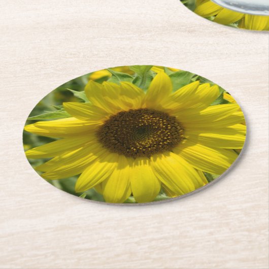 Sommersonnenblume Runder Pappuntersetzer (Angewinkelt)