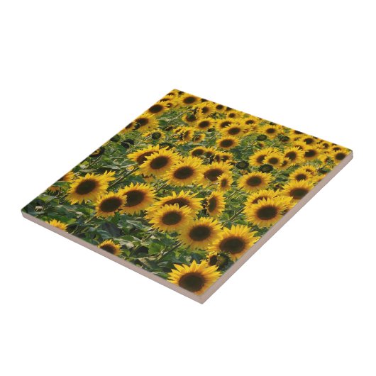 Sommersonnenblumen Keramik Tile Fliese (Seite)