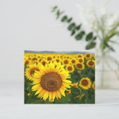Sommersonnenblumen Postkarte (Stehend Vorderseite)