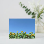 Sommersonnenblumen Postkarte (Stehend Vorderseite)